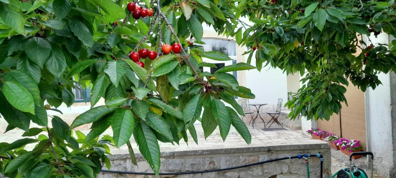 Locazione Turistica San Giorgio Apartment Putignano Luaran gambar